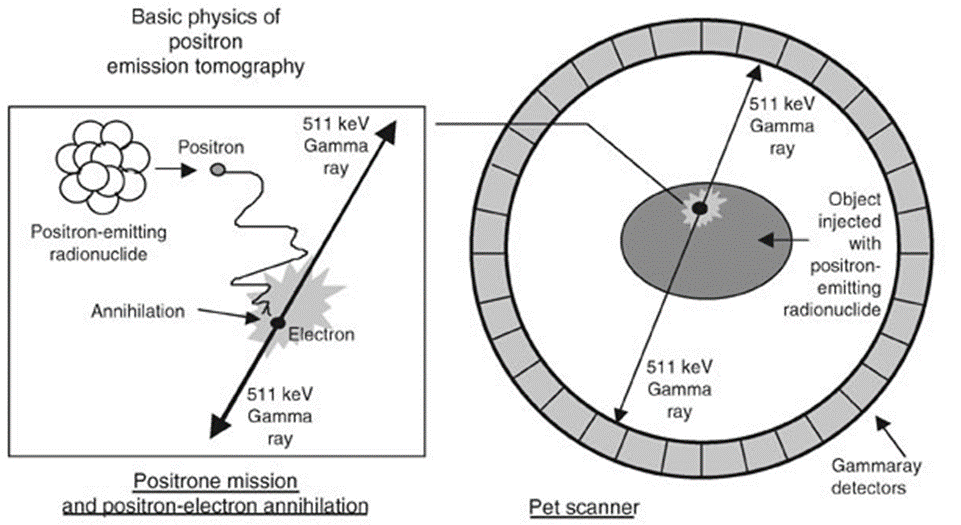 PET 原理.png PET 原理.png