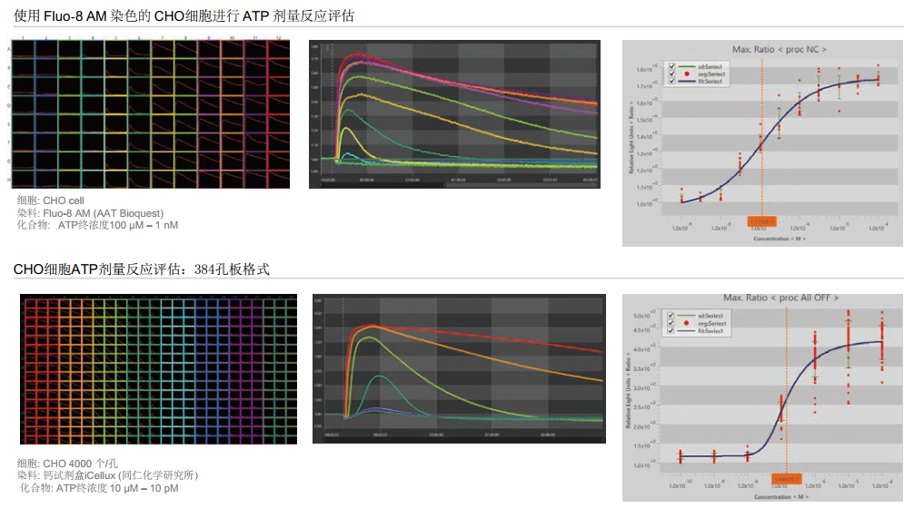 QQ截圖20230316134758.png QQ截圖20230316134758.png